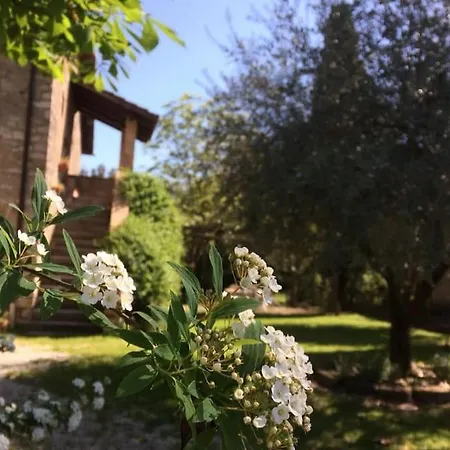 Casale Piantata Con Piscina *